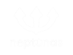 Neptunas
